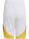 Vorschau: ADIDAS Kinder Teamhose DFB 24 Kids Heim