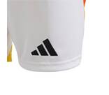 Vorschau: ADIDAS Kinder Teamhose DFB 24 Kids Heim