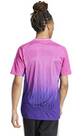 Vorschau: ADIDAS Herren Trikot DFB 24 Auswärts