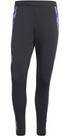 Vorschau: ADIDAS Herren Fanhose DFB Tiro 24 Competition