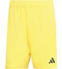 Vorschau: ADIDAS Herren Teamhose JUVE TR SHO