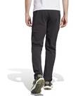 Vorschau: ADIDAS Herren Hose Terrex Xperior