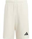 Vorschau: ADIDAS Herren Shorts Team Deutschland