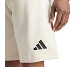 Vorschau: ADIDAS Herren Shorts Team Deutschland