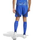 Vorschau: ADIDAS Herren Shorts Tiro 24 Competition Match