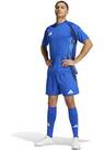 Vorschau: ADIDAS Herren Shorts Tiro 24 Competition Match