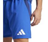 Vorschau: ADIDAS Herren Shorts Tiro 24 Competition Match