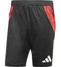 Vorschau: ADIDAS Herren Shorts Tiro 24 Competition (normal & lang)