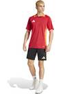 Vorschau: ADIDAS Herren Shorts Tiro 24 Competition (normal & lang)