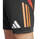 Vorschau: ADIDAS Herren Shorts Tiro 24 Competition (normal & lang)