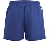 Vorschau: ADIDAS Kinder Badeshorts Sportswear Essentials Logo CLX Kids