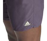 Vorschau: ADIDAS Herren Shorts Colorblock CLX