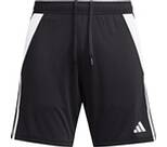 Vorschau: ADIDAS Herren Shorts Tiro 24
