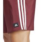 Vorschau: ADIDAS Herren Shorts 3-Streifen CLX