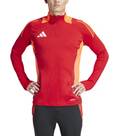 Vorschau: ADIDAS Herren Jacke Tiro 24 Competition