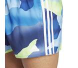 Vorschau: ADIDAS Herren Shorts City Escape Camo 3-Streifen Cix