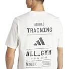 Vorschau: ADIDAS Herren Shirt AEROREADY All-Gym Category Graphic