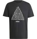 Vorschau: ADIDAS Herren Shirt House of Tiro Graphic