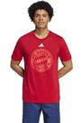 Vorschau: ADIDAS Herren Fanshirt FC Bayern München DNA Graphic