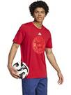 Vorschau: ADIDAS Herren Fanshirt FC Bayern München DNA Graphic