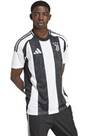 Vorschau: ADIDAS Herren Trikot Juventus Turin 24/25 Heimtrikot