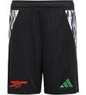Vorschau: ADIDAS Kinder Teamhose FC Arsenal 24/25 Kids Auswärts
