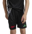 Vorschau: ADIDAS Kinder Teamhose FC Arsenal 24/25 Kids Auswärts