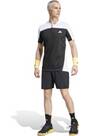 Vorschau: ADIDAS Herren Polo Tennis HEAT.RDY Pro FreeLift Henley