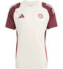 Vorschau: ADIDAS Herren Trikot FC Bayern München Tiro 24
