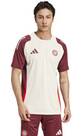 Vorschau: ADIDAS Herren Trikot FC Bayern München Tiro 24