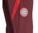 Vorschau: ADIDAS Herren Fanhose FC Bayern München Tiro 24