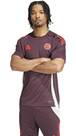 Vorschau: ADIDAS Herren Trikot FC Bayern München Tiro 24