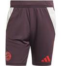 Vorschau: ADIDAS Herren Fanhose FC Bayern München Tiro 24