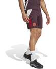 Vorschau: ADIDAS Herren Fanhose FC Bayern München Tiro 24