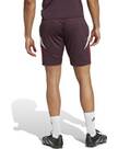 Vorschau: ADIDAS Herren Fanhose FC Bayern München Tiro 24