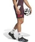 Vorschau: ADIDAS Herren Fanhose FC Bayern München Tiro 24