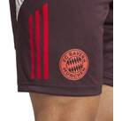Vorschau: ADIDAS Herren Fanhose FC Bayern München Tiro 24