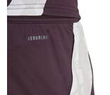 Vorschau: ADIDAS Herren Fanhose FC Bayern München Tiro 24