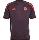 Vorschau: ADIDAS Kinder Trikot FC Bayern München Tiro 24 Kids