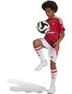 Vorschau: ADIDAS Kinder Teamhose Manchester United 24/25 Kids Heim