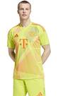 Vorschau: ADIDAS Herren Trikot FC Bayern München 24/25