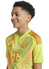 Vorschau: ADIDAS Kinder Trikot FC Bayern München 24/25 Kids
