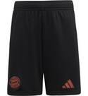 Vorschau: ADIDAS Kinder Teamhose FC Bayern München 24/25 Kids Auswärts