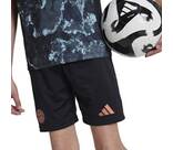 Vorschau: ADIDAS Kinder Teamhose FC Bayern München 24/25 Kids Auswärts