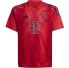 Vorschau: ADIDAS Kinder Trikot FC Bayern München 24/25 Heimtrikot