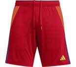 Vorschau: ADIDAS Herren Shorts Tiro 24