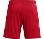 Vorschau: ADIDAS Herren Shorts Tiro 24