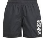 Vorschau: ADIDAS Kinder Badeshorts Sportswear Essentials Logo CLX Kids