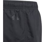 Vorschau: ADIDAS Kinder Badeshorts Sportswear Essentials Logo CLX Kids