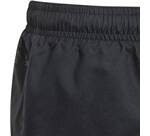 Vorschau: ADIDAS Kinder Badeshorts Sportswear Essentials Logo CLX Kids